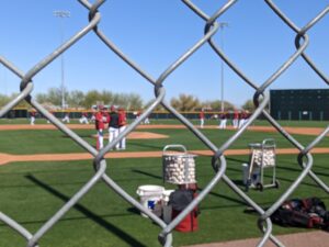 Diamondbacks spring training