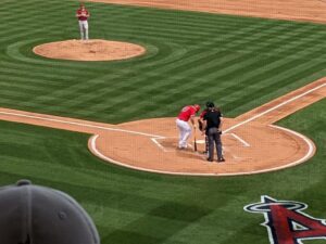 Diamondbacks spring training