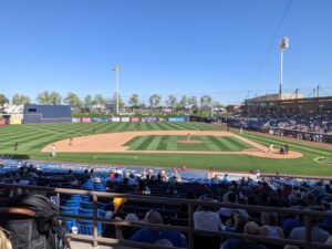 Diamondbacks spring training