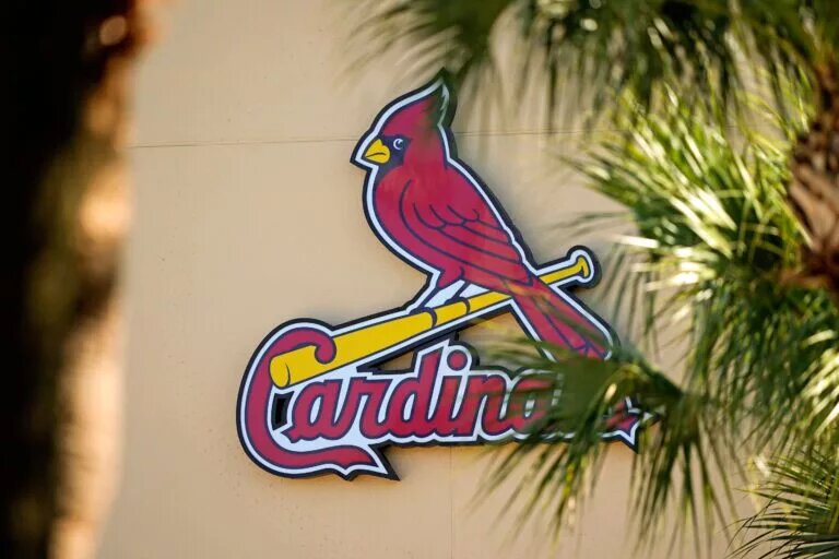 Cardinals prospect Yairo Padilla is worth keeping an eye on after his impressive performance in Dominican League play.