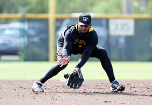 The Pirates recalled Liover Peguero from Triple-A Indianapolis on Friday.