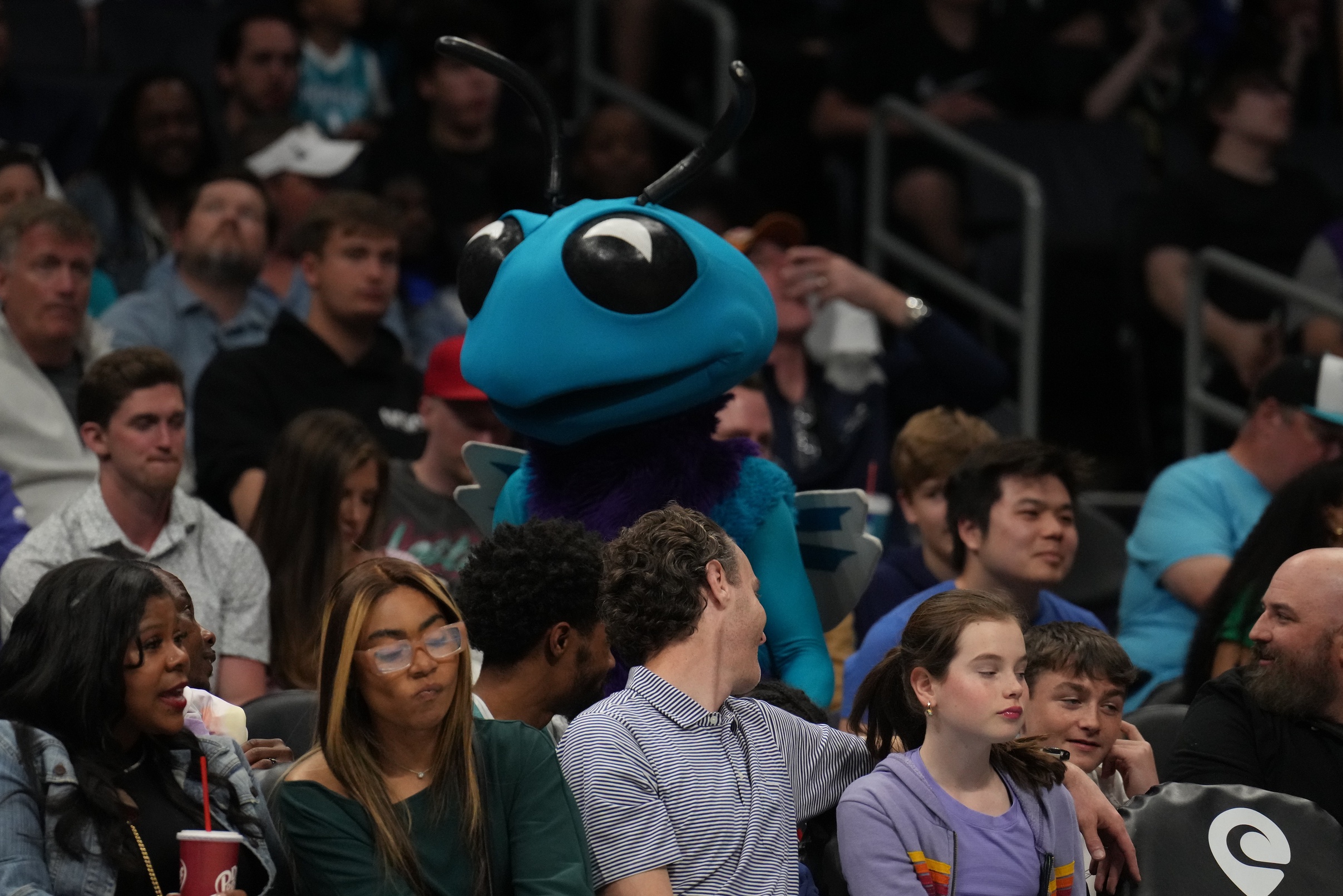 Charlotte Hornets mascot walks around during NBA game against Los Angeles Clippers