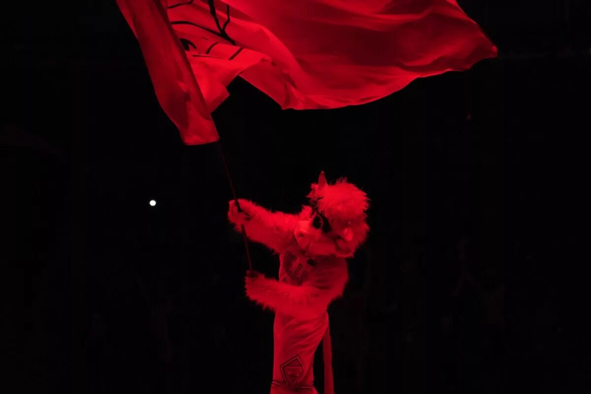 Chicago Bulls mascot