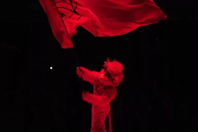 Chicago Bulls mascot