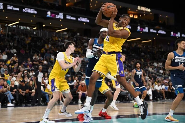 Oct 4, 2024; Palm Desert, California, USA; Los Angeles Lakers guard Quincy Olivari (41) rebounds against Minnesota Timberwolves forward Leonard Miller (33) during the second half at Acrisure Arena. Mandatory Credit: Jonathan Hui-Imagn Images