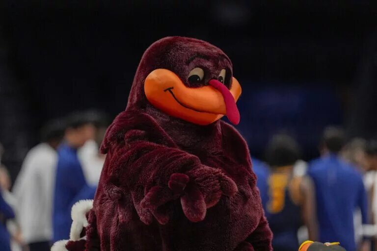 Virginia Tech Hokies mascot during the first half against the California Golden Bears at Spectrum Center.