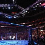 Caesars UFC Bonus gives UFC 301 watchers great value