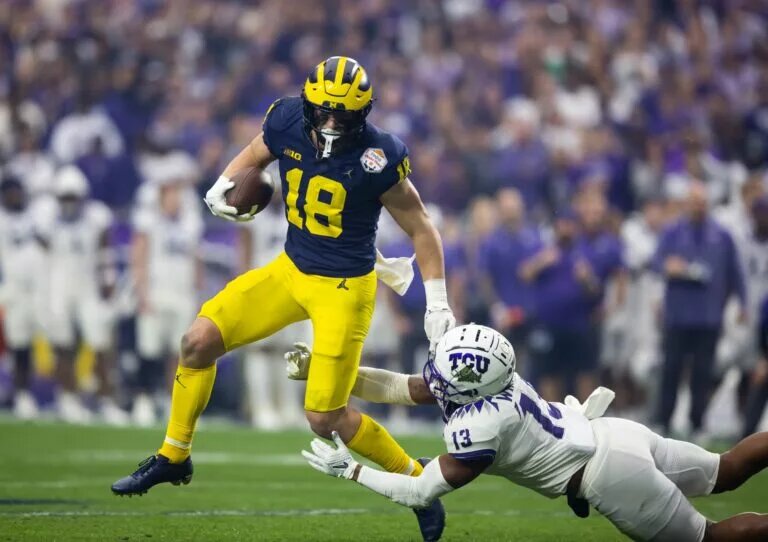michigan tight ends
