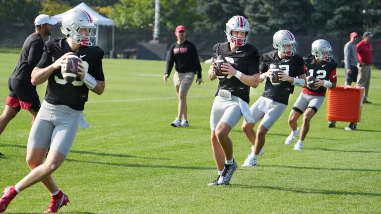 The Ohio State offensive players are star-studded up and down the roster. There are a few new faces who could make an impact and break out.