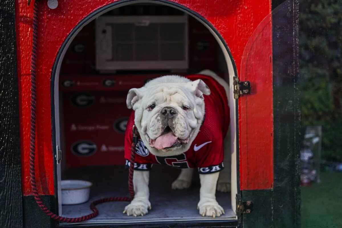 The Deep South's Oldest Rivalry