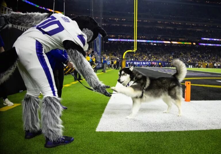 Washington Quarterback Recruits