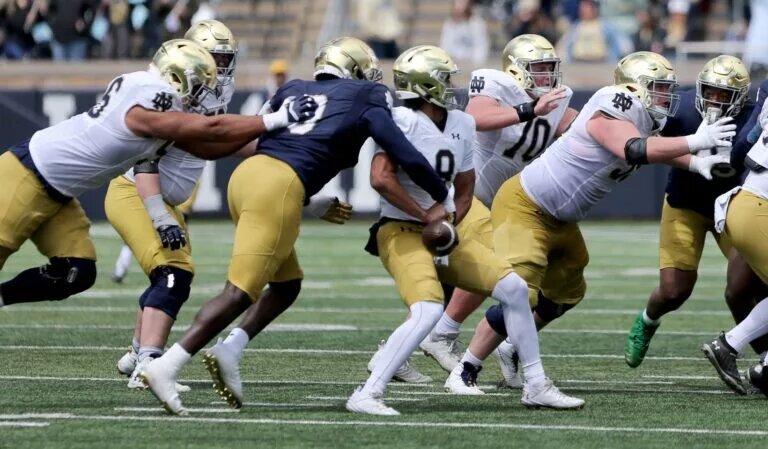 Blue-Gold Game