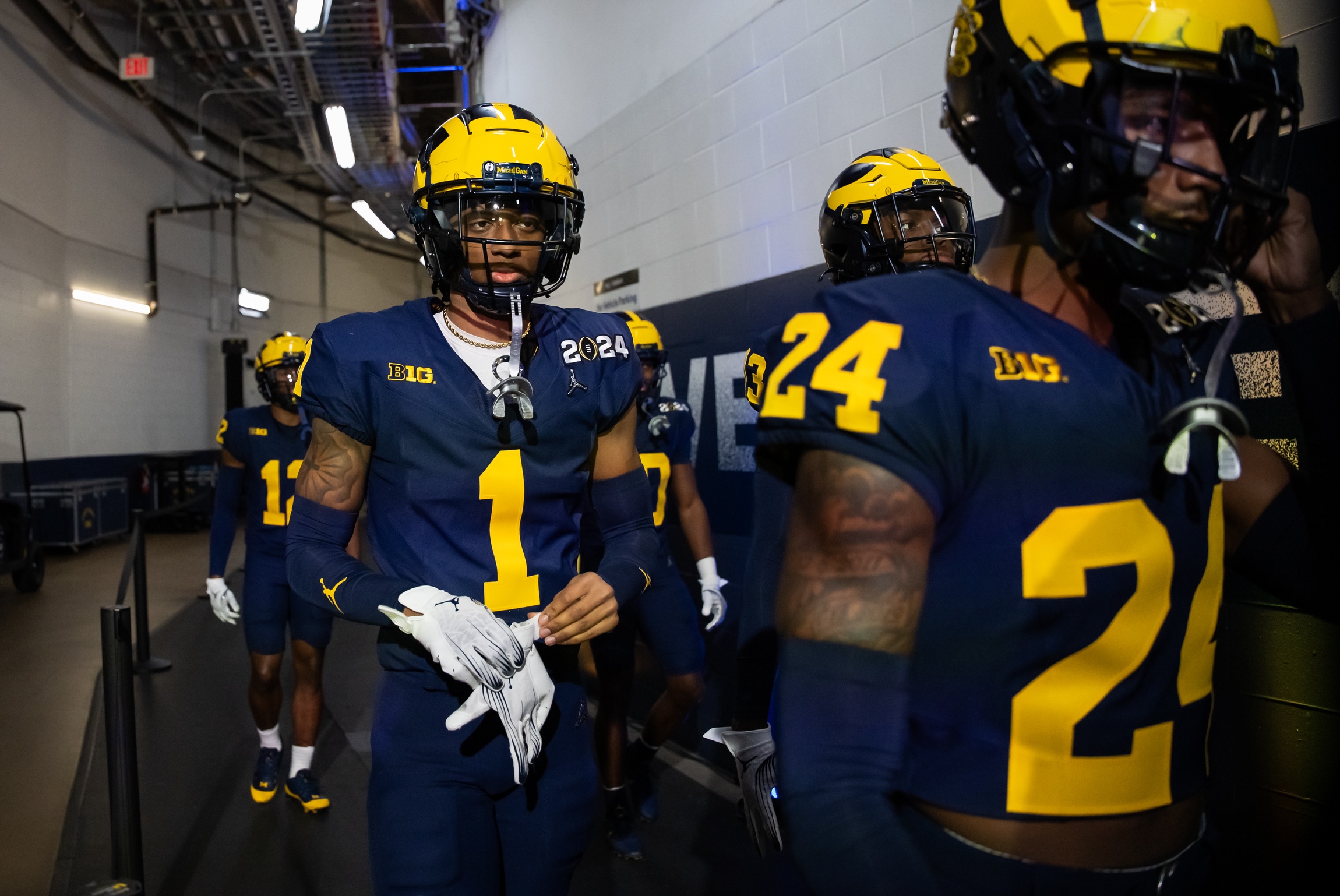Introducing Michigan football's nine new arrivals from the college football transfer portal, plus predictions for how they'll fare in 2024.