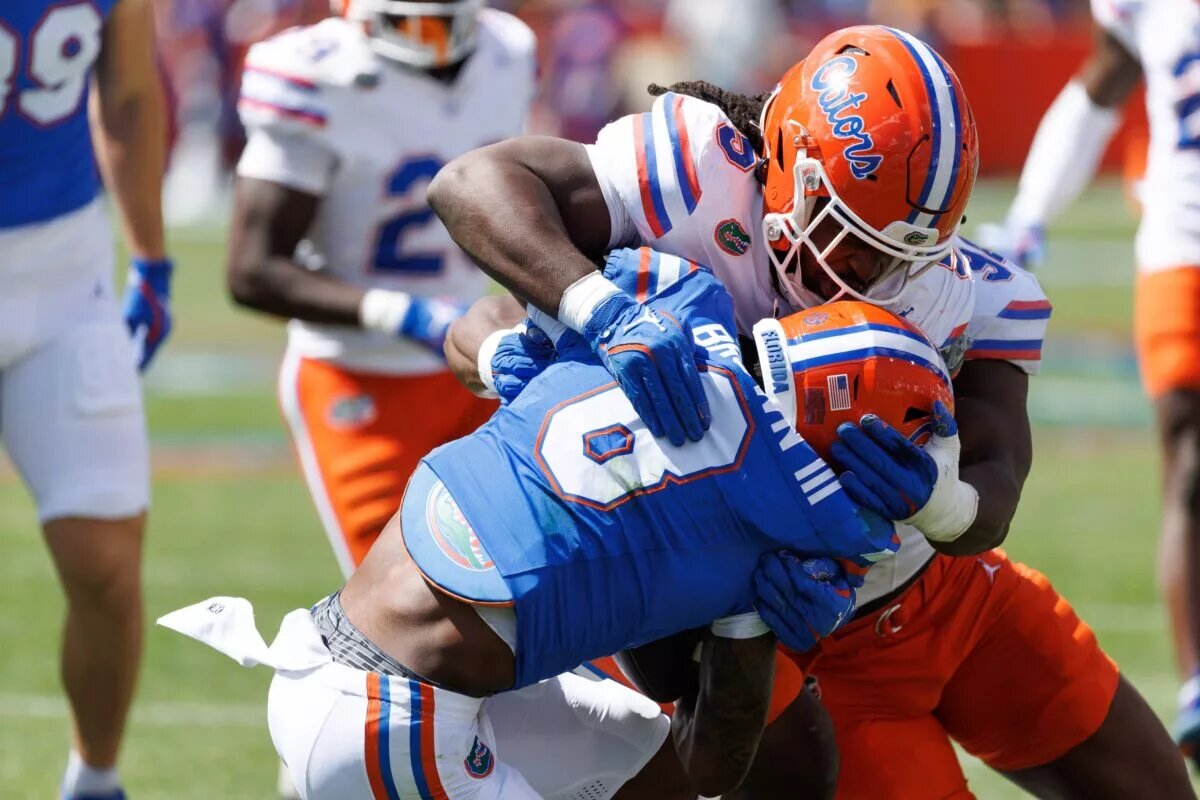 Gators Heads