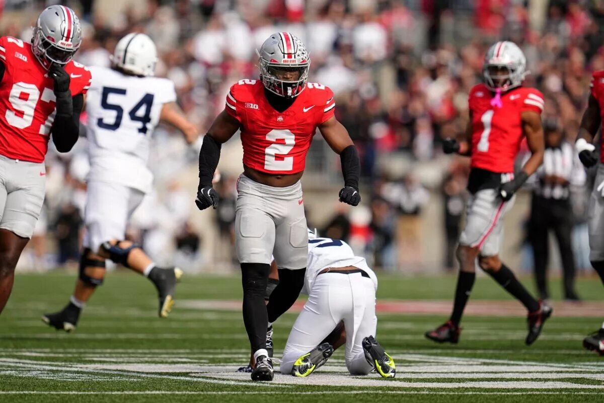 bednarik award