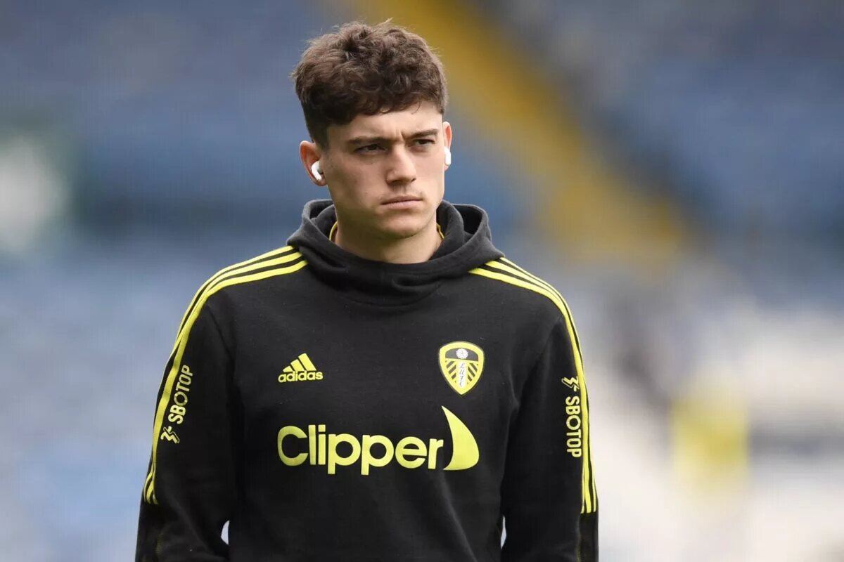 Tottenham Everton Daniel James