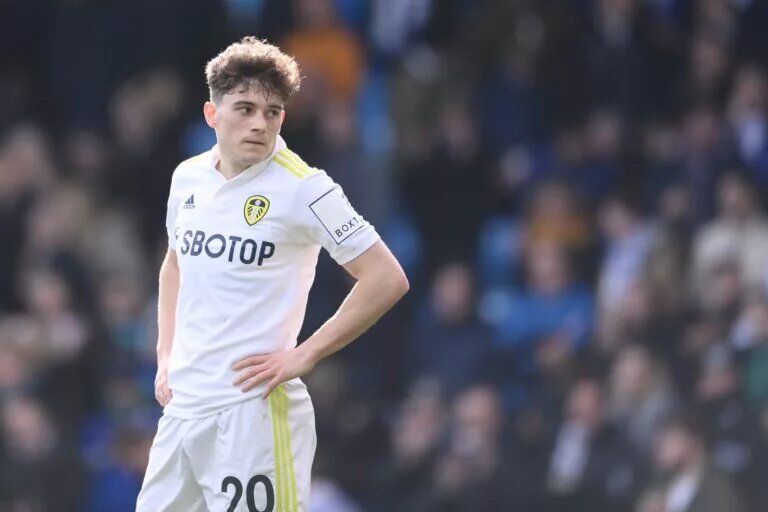 Explosive winger Dan James