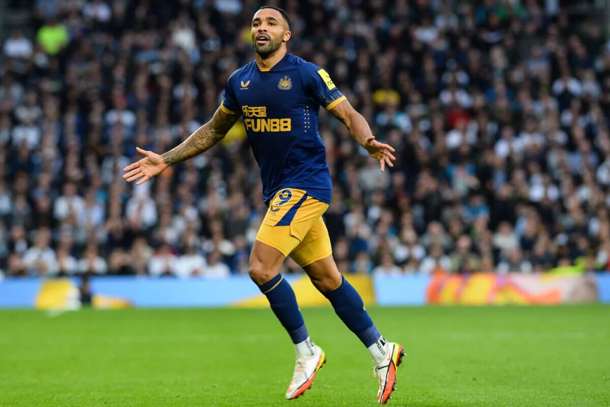 Callum Wilson celebrates scoring for Newcastle United