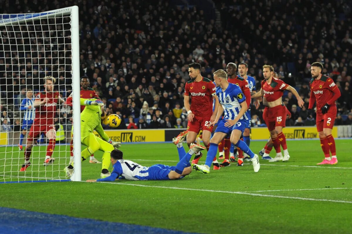 Brighton and Wolves players scramble on the goal line after a header