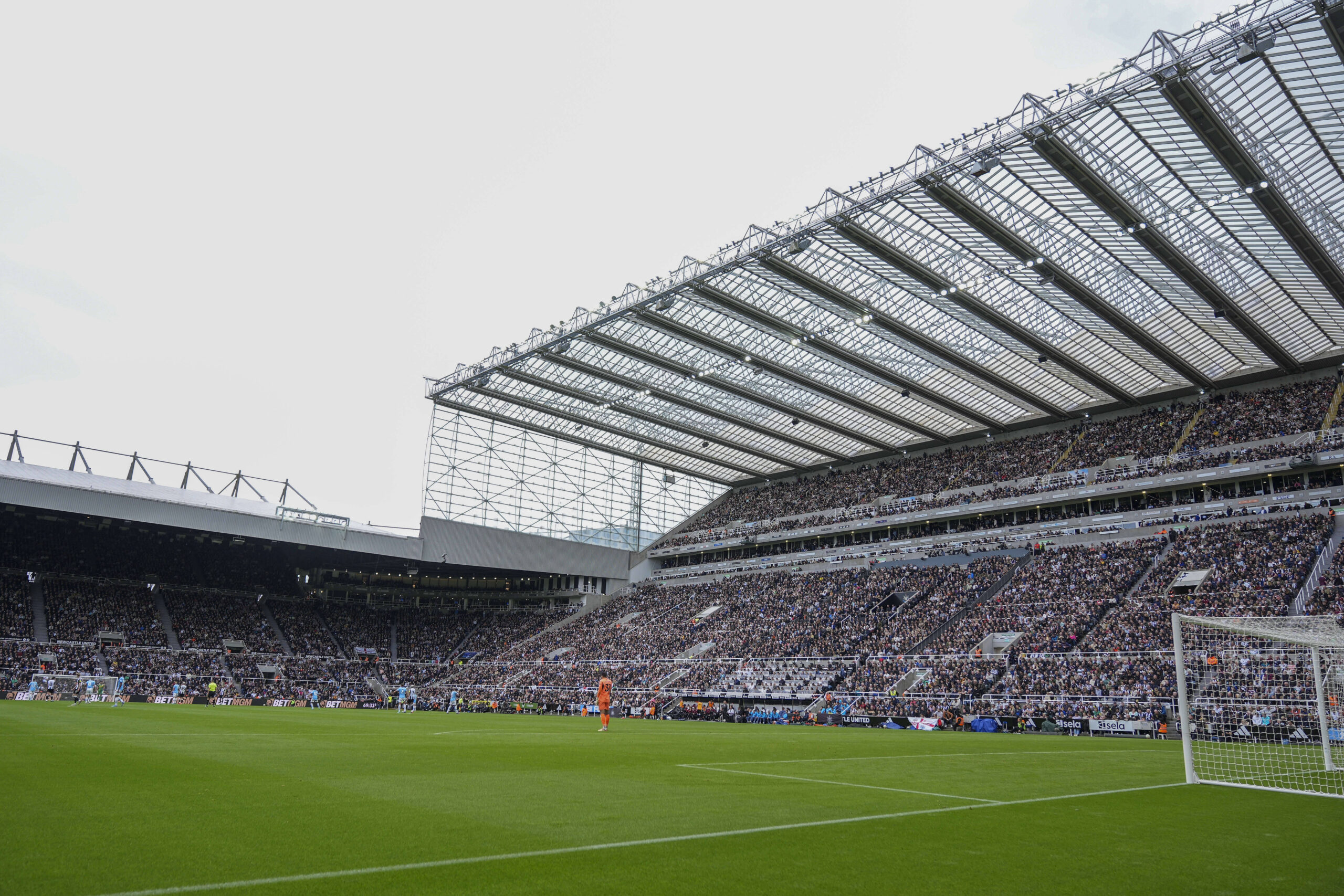 Newcastle United Predicted Lineup Vs AFC Wimbledon: William Osula to Make Full Debut