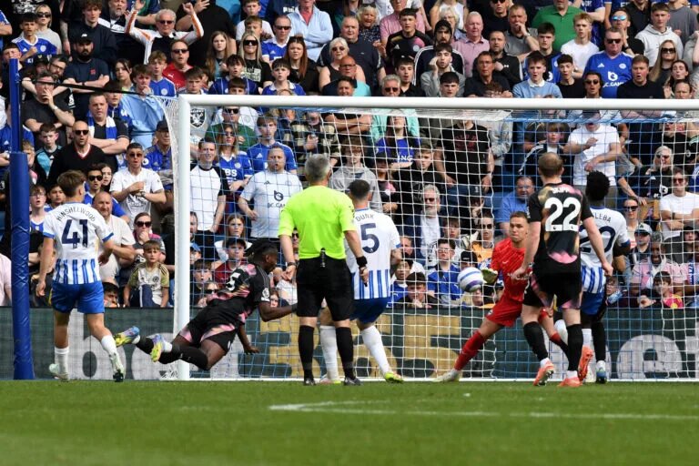Brighton & Hove albion match image