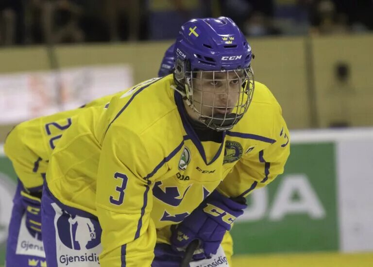 Elias Salomonsson Scouting Report