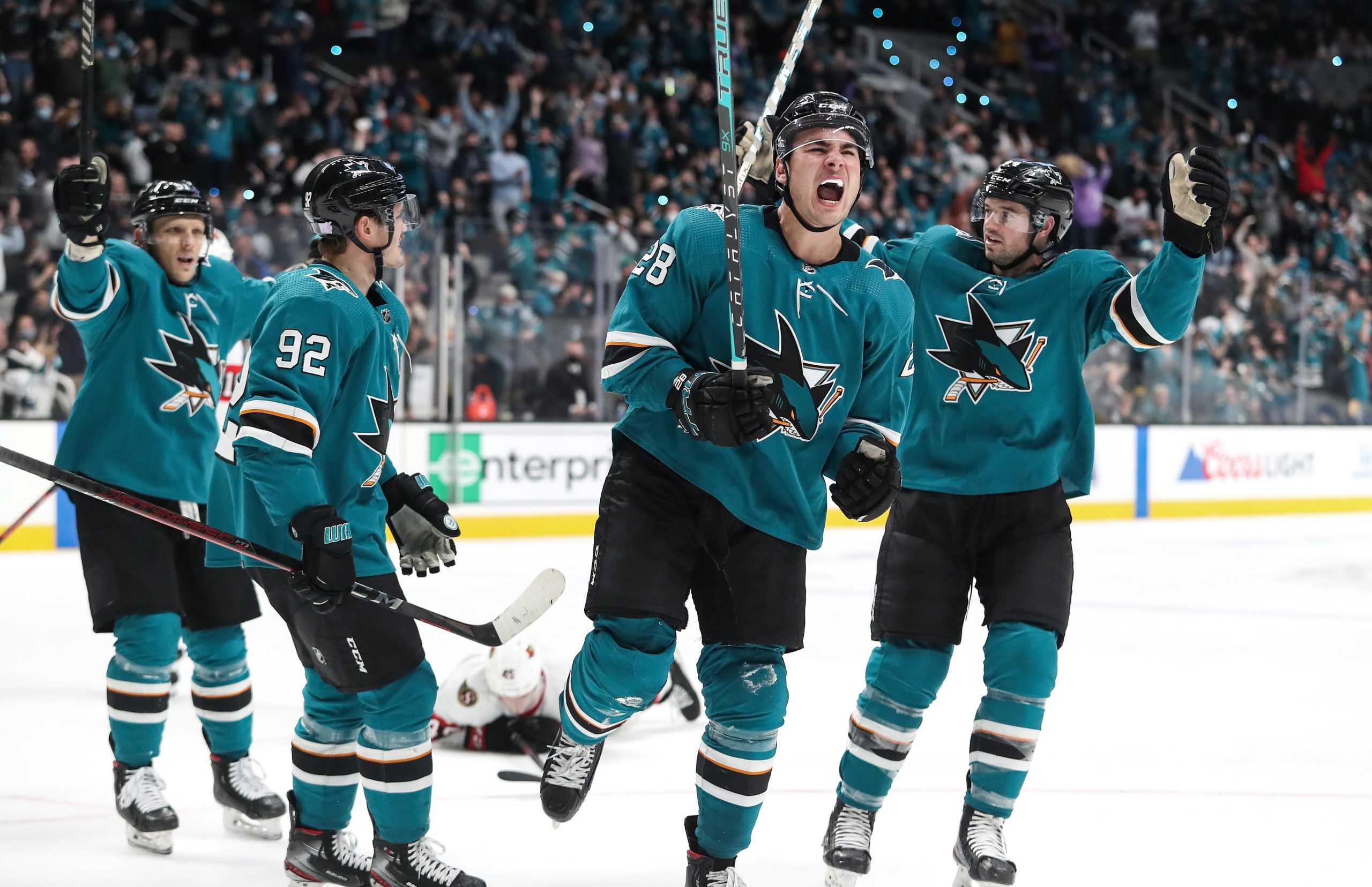 Criticism of Sharks' Hertl by NHL Establishment Is Absurd