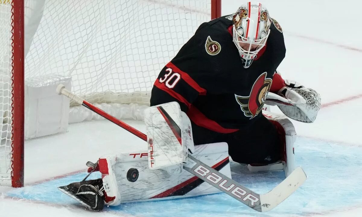 Toronto Maple Leafs Goalie
