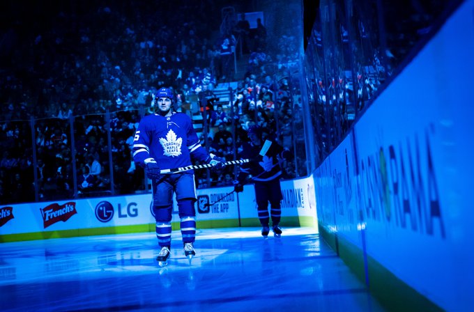 toronto maple leafs HD wallpapers, backgrounds
