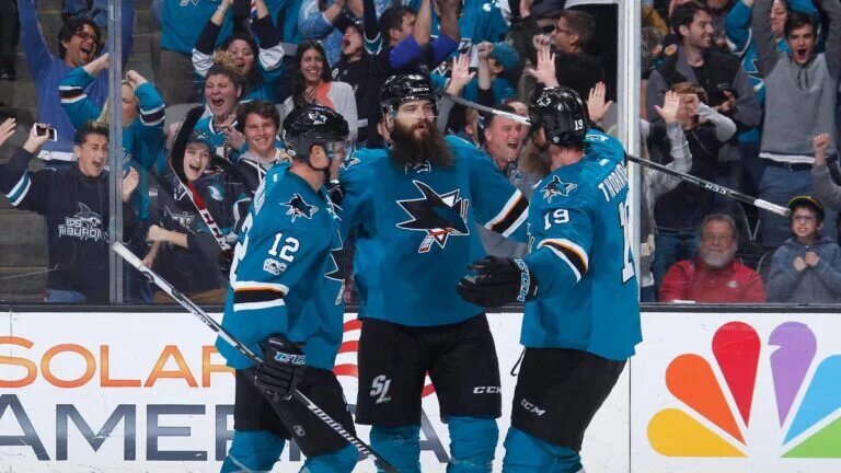 sharks