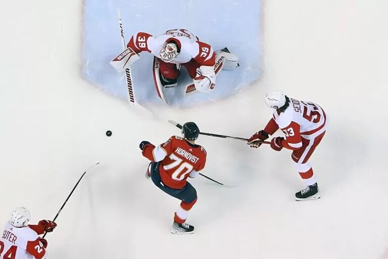 SUNRISE, FL - APRIL 21: Goaltender Alex Nedeljkovic #39 of the Detroit Red Wings stops a third period shot by Patric Hornqvist #70 of the Florida Panthers at the FLA Live Arena on April 21, 2022 in Sunrise, Florida. (Photo by Joel Auerbach/NHL/Getty Images)