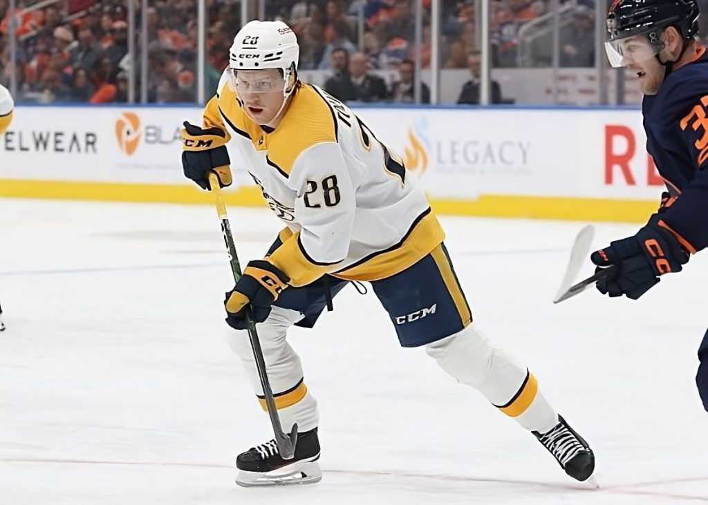 Predators' Michael McCarron entering player assistance program