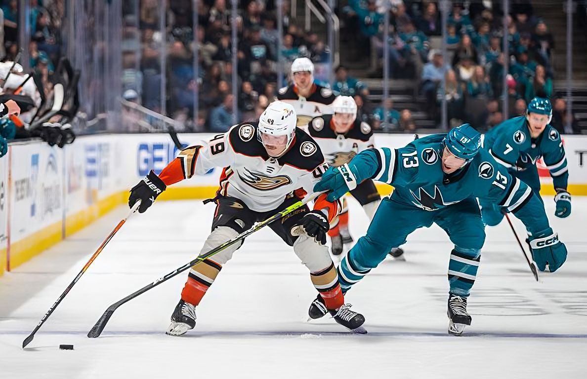 SAN JOSE, CA - NOVEMBER 05: Anaheim Ducks Left Wing Max Jones (49) competes for the puck with San Jose Sharks Left Wing Nick Bonino (13) during the third period of a regular season NHL hockey game between the Anaheim Ducks and the San Jose Sharks on November 5, 2022, at SAP Center, in San Jose, CA. (Photo by Tony Ding/Icon Sportswire via NHL/Getty Images)