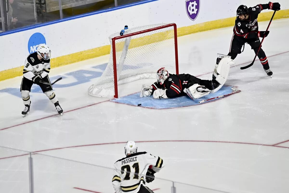 Buffalo Sabres prospect