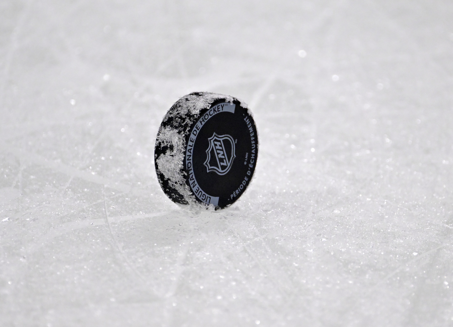 NHL logo on puck