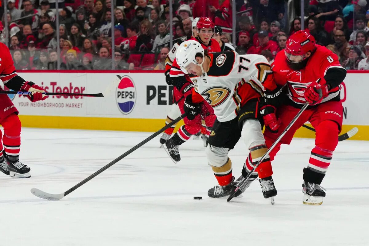 Hurricanes trade forward