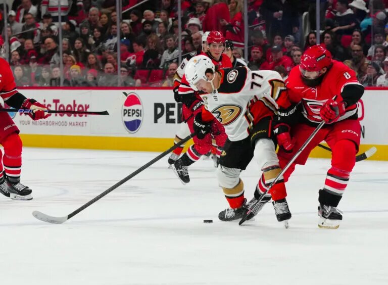 Hurricanes trade forward