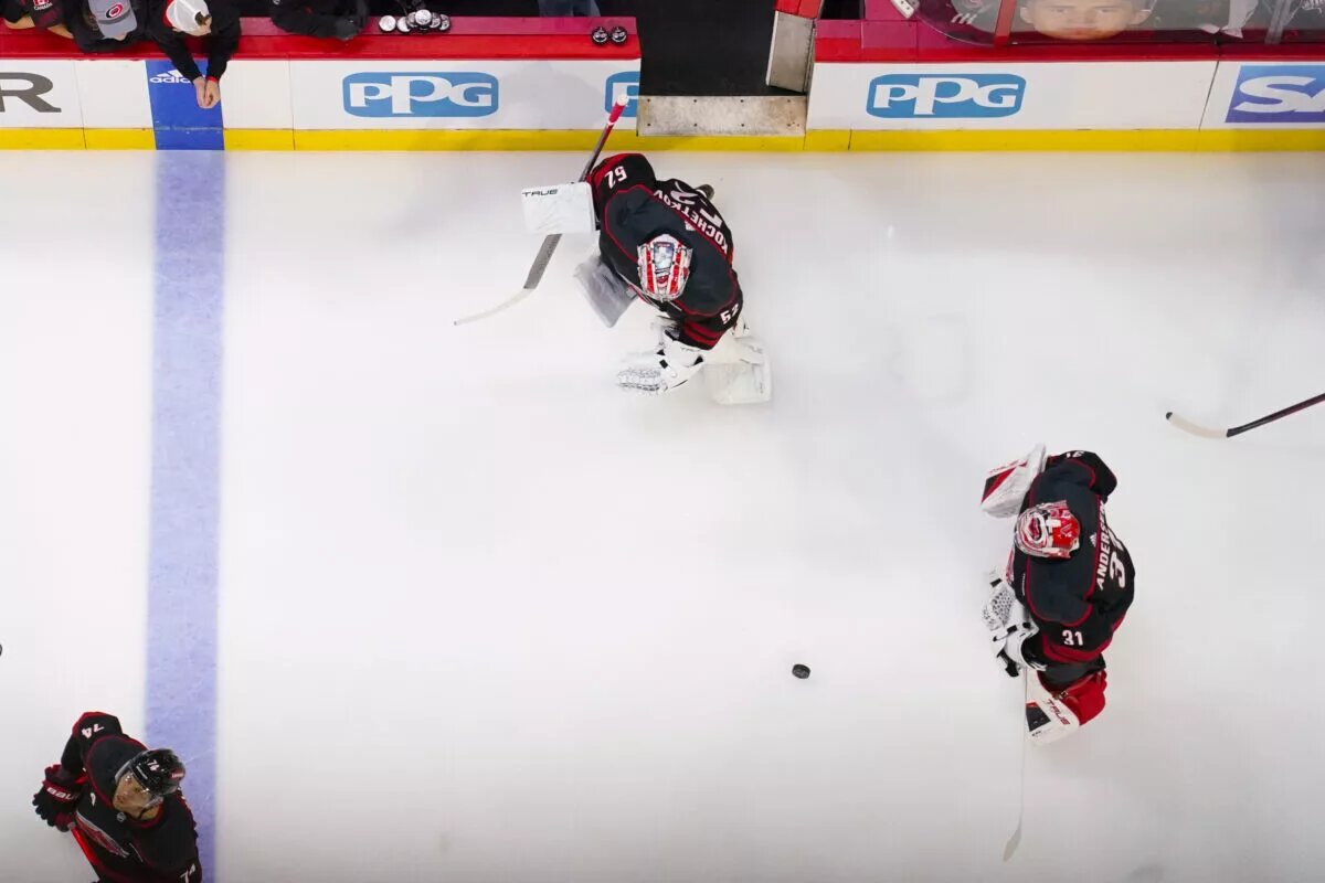 Hurricanes goaltending