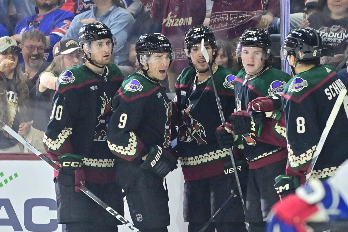 Arizona Coyotes sweaters
