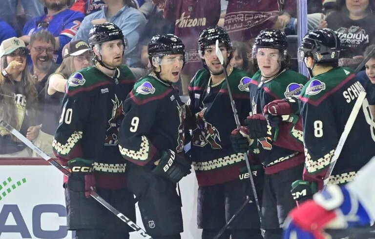 Arizona Coyotes sweaters