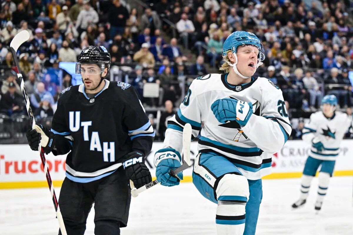 Sharks injuries