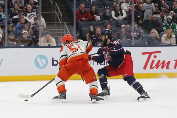 Buffalo Sabres Trade for Anaheim Ducks Blue Liner