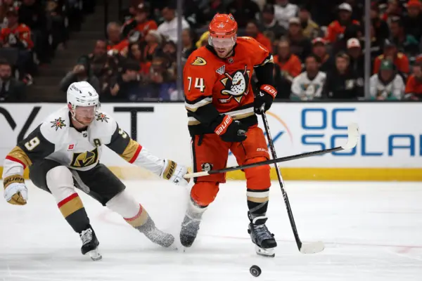 Carolina Hurricanes Acquire Rights to Veteran Defenceman
