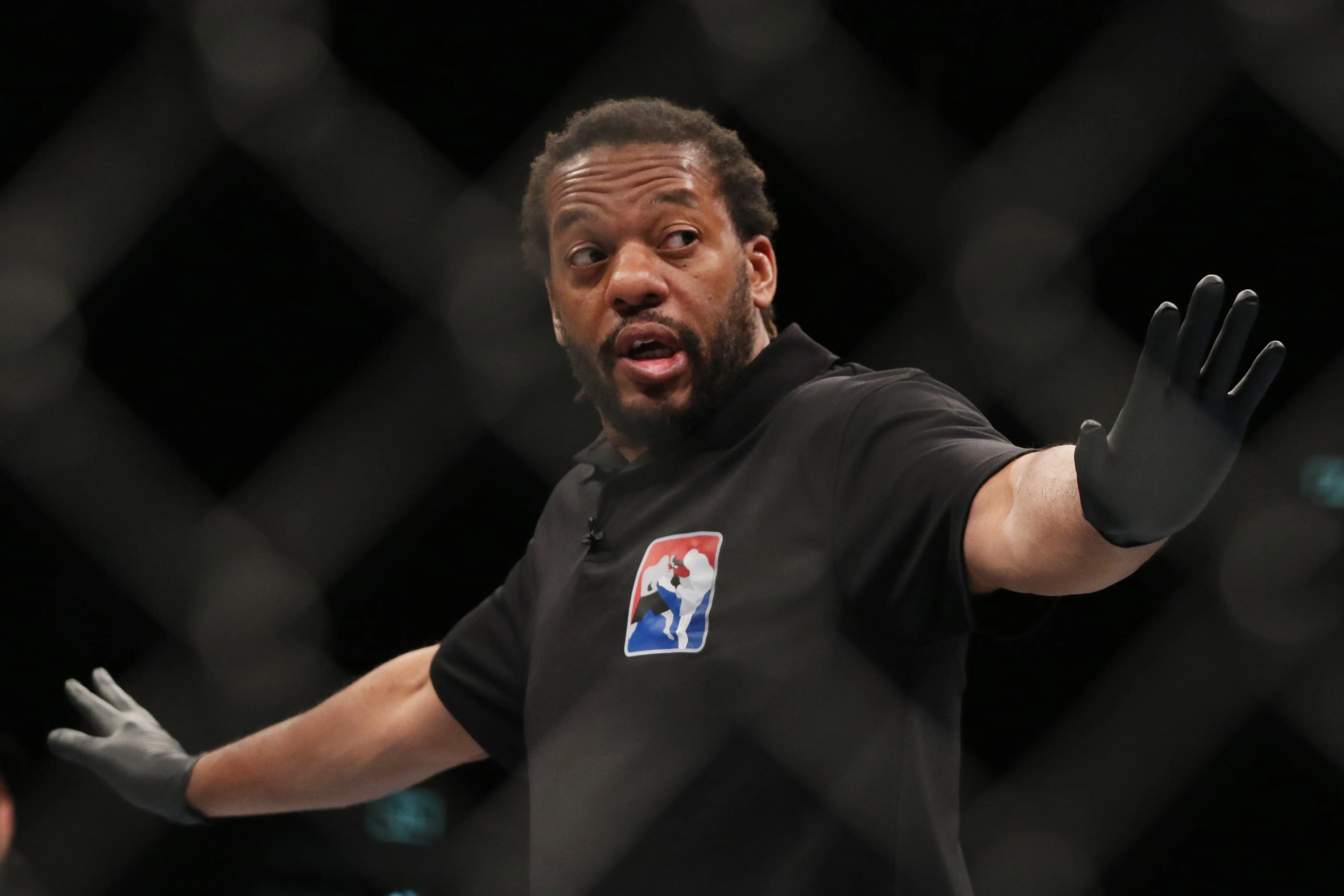 Herb Dean at UFC 293