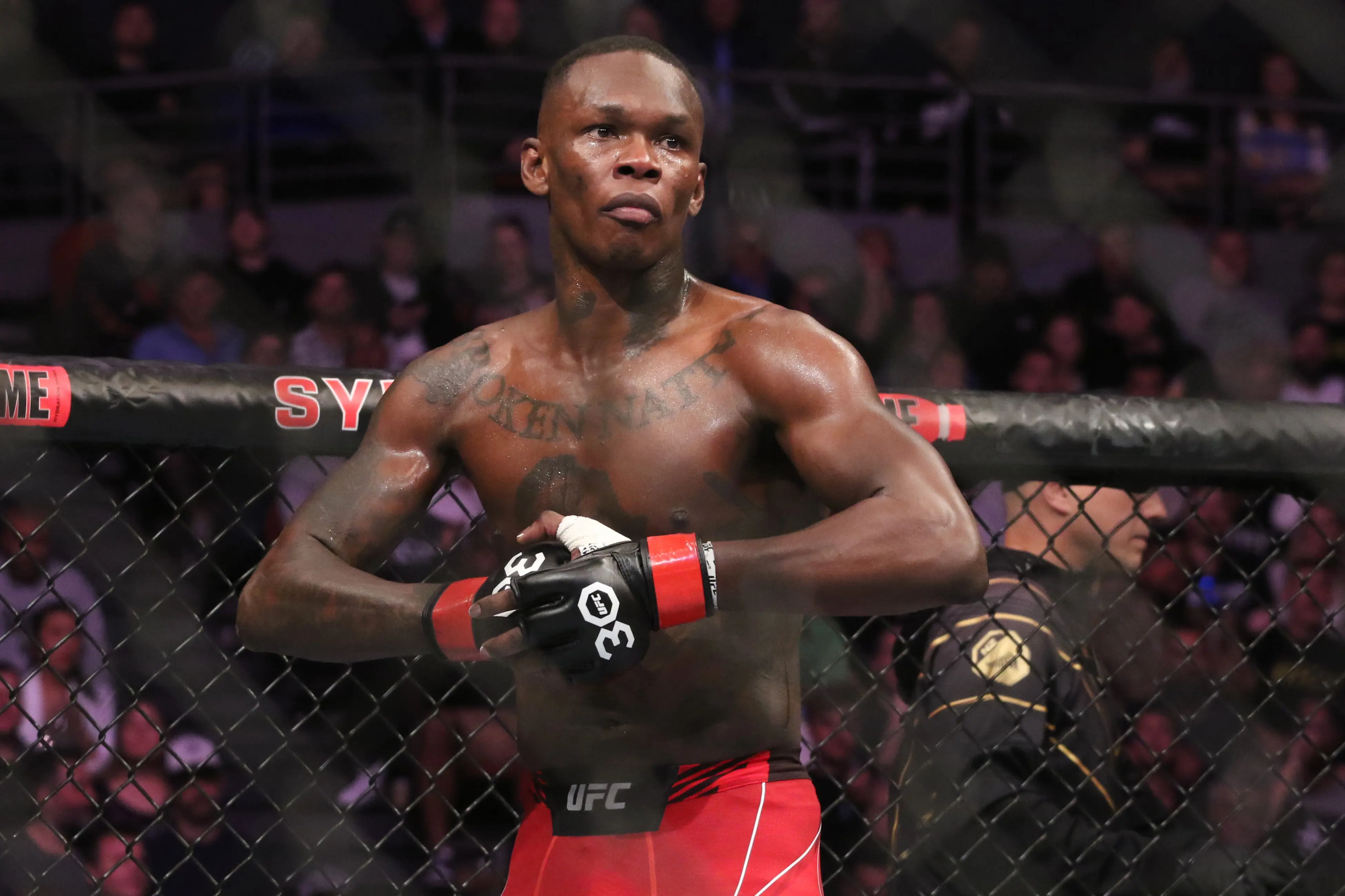 Israel Adesanya at UFC 293