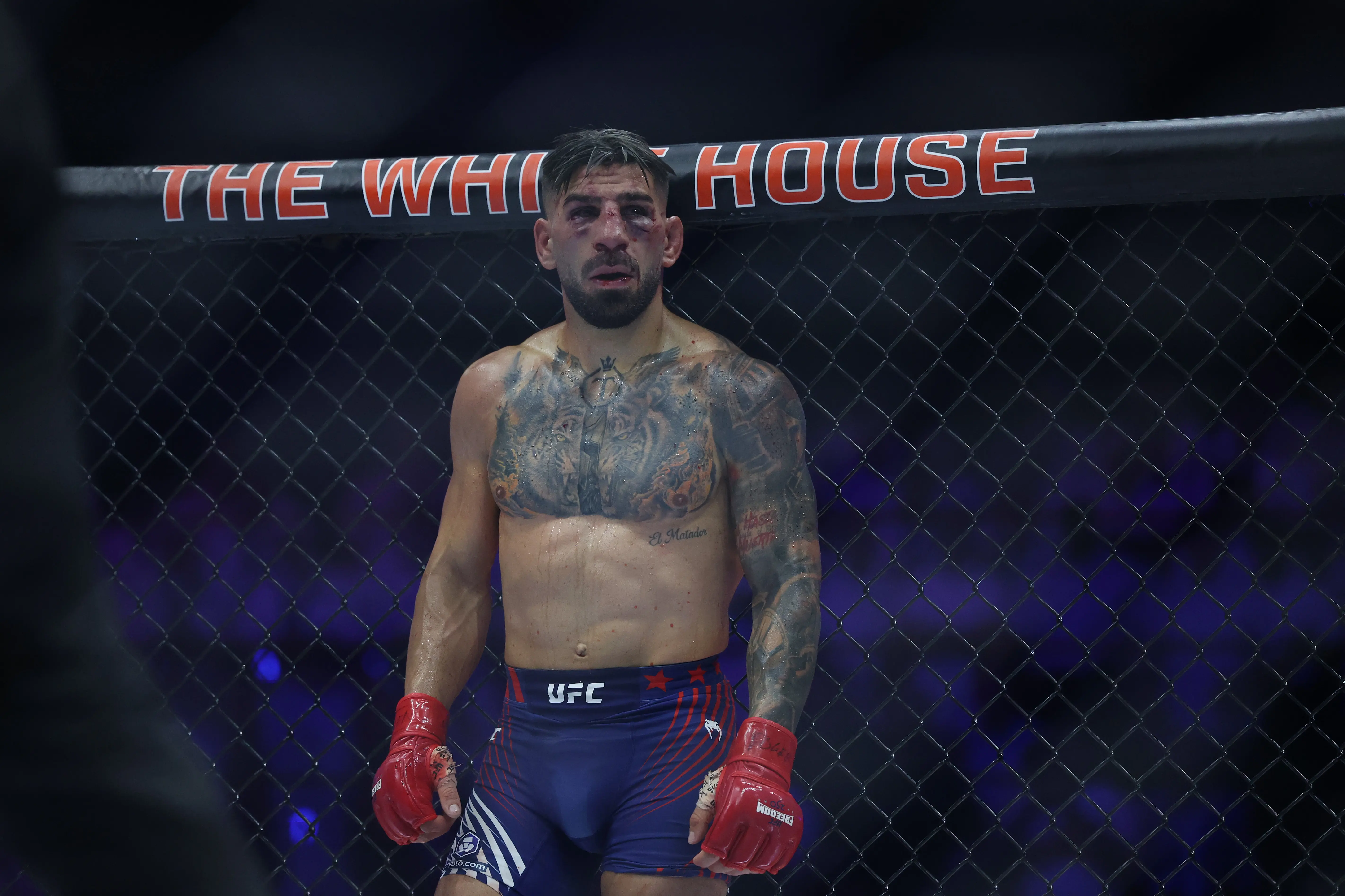 Ilia Topuria’s Trainer Offers Encouraging Health Update, Hints at December 2026 UFC Comeback 