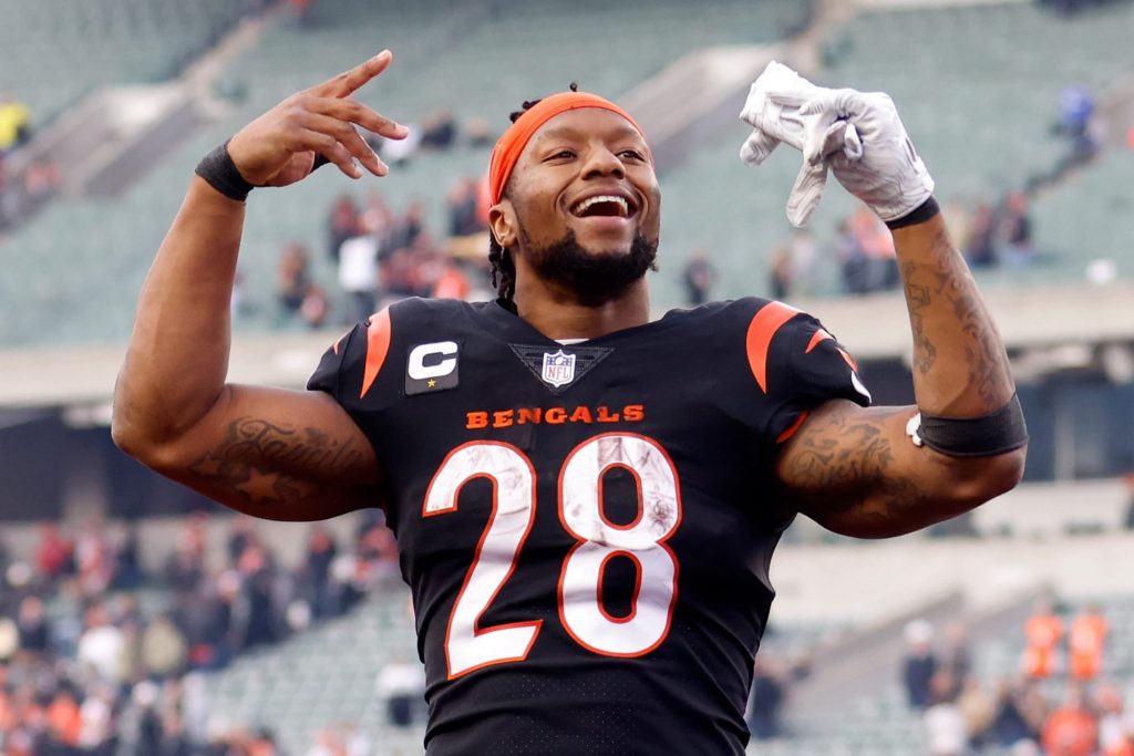 joe mixon 2021 fantasy stats