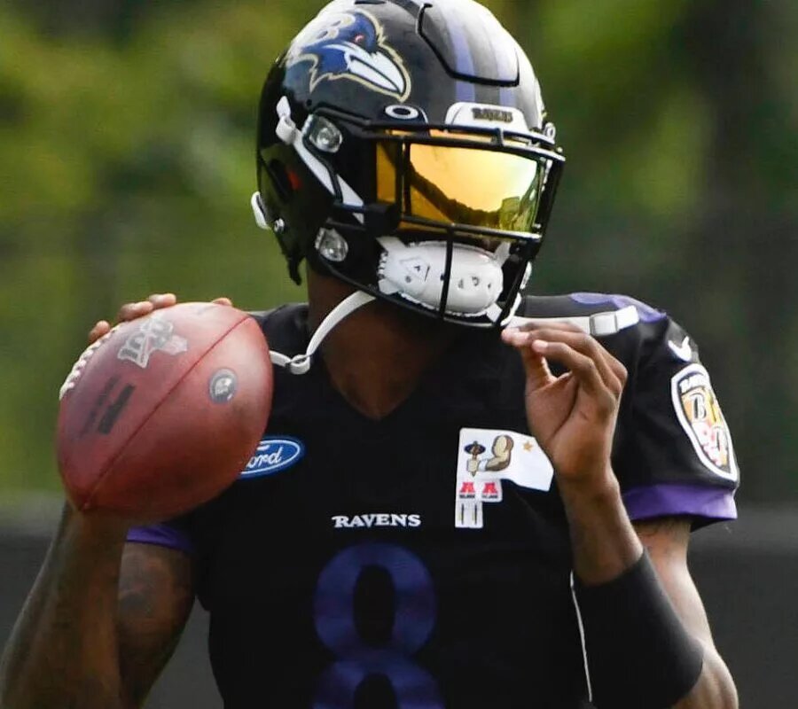 Ravens Record