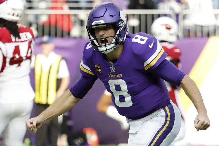 Minnesota Vikings NFC North