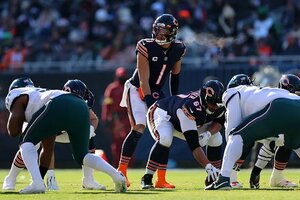 Bears Durability